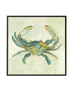 Little Sage Crab by Natalie Jane | Framed Canvas Art Print