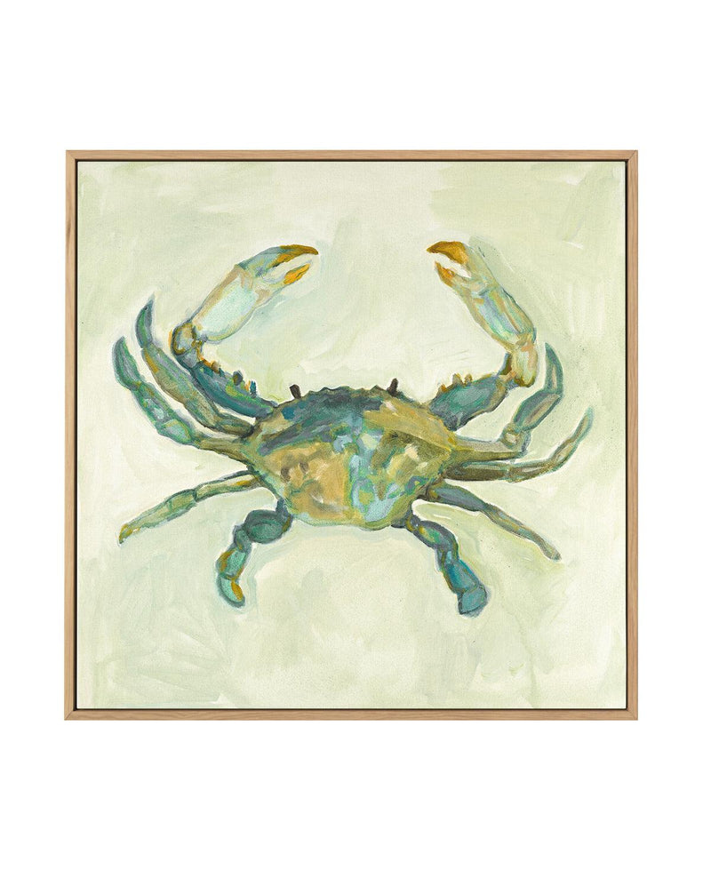 Little Sage Crab by Natalie Jane | Framed Canvas Art Print