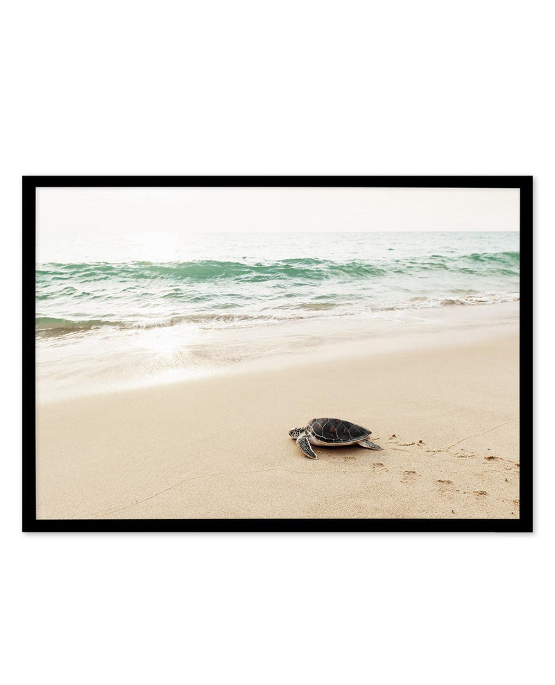 Little Turtle III Art Print-PRINT-Olive et Oriel-Olive et Oriel-A5 | 5.8" x 8.3" | 14.8 x 21cm-Black-With White Border-Buy-Australian-Art-Prints-Online-with-Olive-et-Oriel-Your-Artwork-Specialists-Austrailia-Decorate-With-Coastal-Photo-Wall-Art-Prints-From-Our-Beach-House-Artwork-Collection-Fine-Poster-and-Framed-Artwork