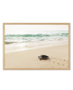 Little Turtle III Art Print-PRINT-Olive et Oriel-Olive et Oriel-A5 | 5.8" x 8.3" | 14.8 x 21cm-Oak-With White Border-Buy-Australian-Art-Prints-Online-with-Olive-et-Oriel-Your-Artwork-Specialists-Austrailia-Decorate-With-Coastal-Photo-Wall-Art-Prints-From-Our-Beach-House-Artwork-Collection-Fine-Poster-and-Framed-Artwork