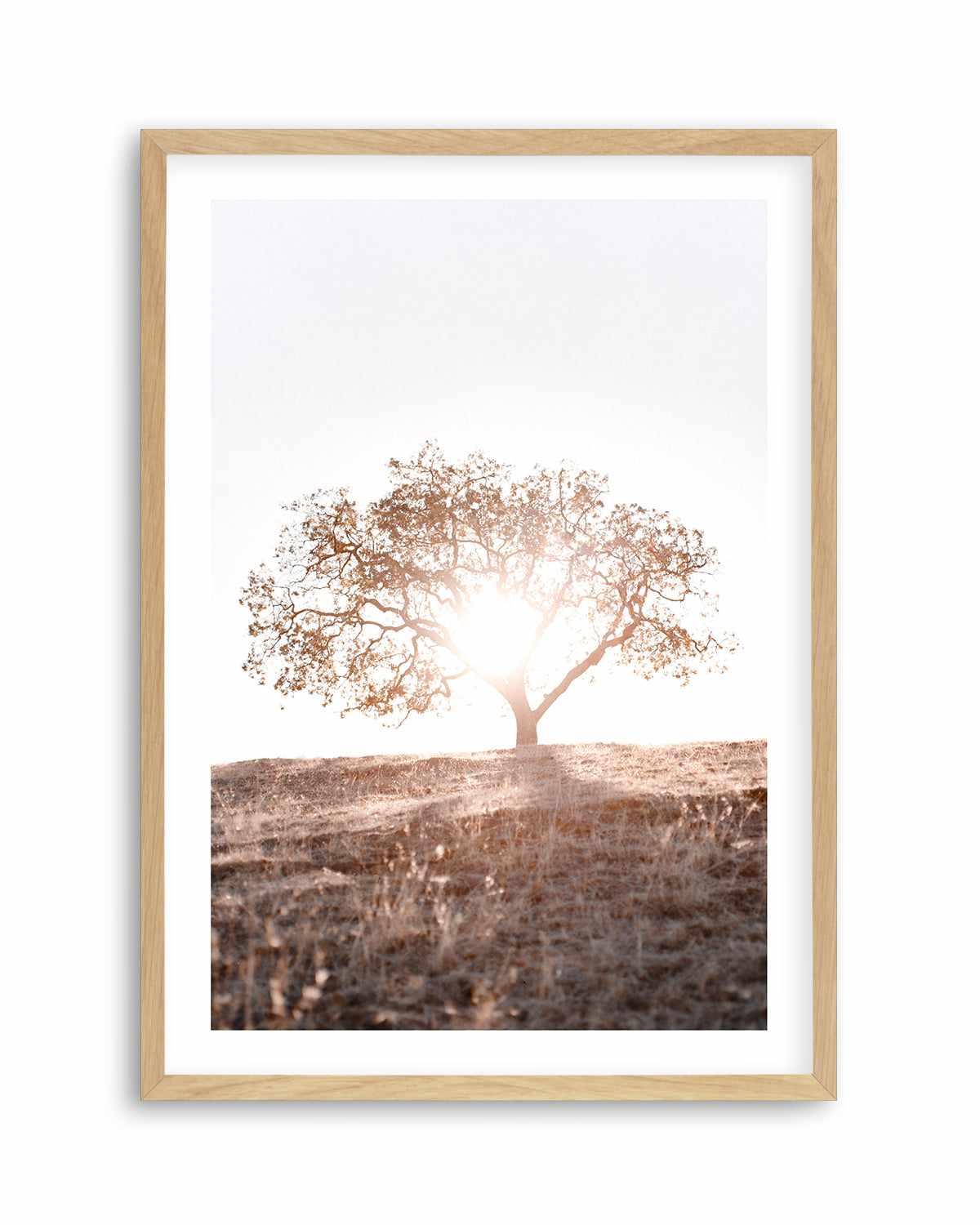 Lone Tree Hill PT by Caleb Morris Art Print