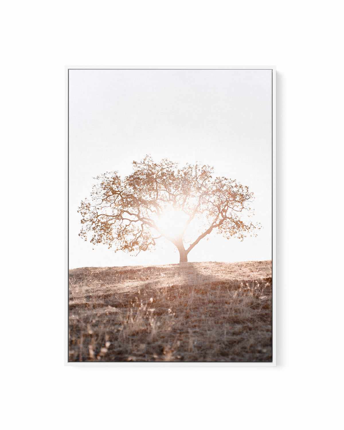 Lone Tree Hill PT by Caleb Morris | Framed Canvas Art Print