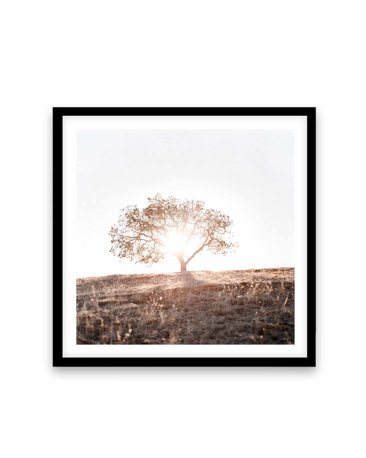 Lone Tree Hill SQ by Caleb Morris Art Print