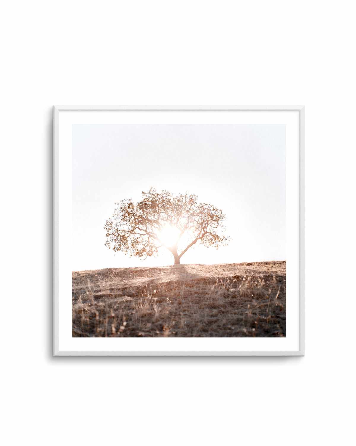 Lone Tree Hill SQ by Caleb Morris Art Print