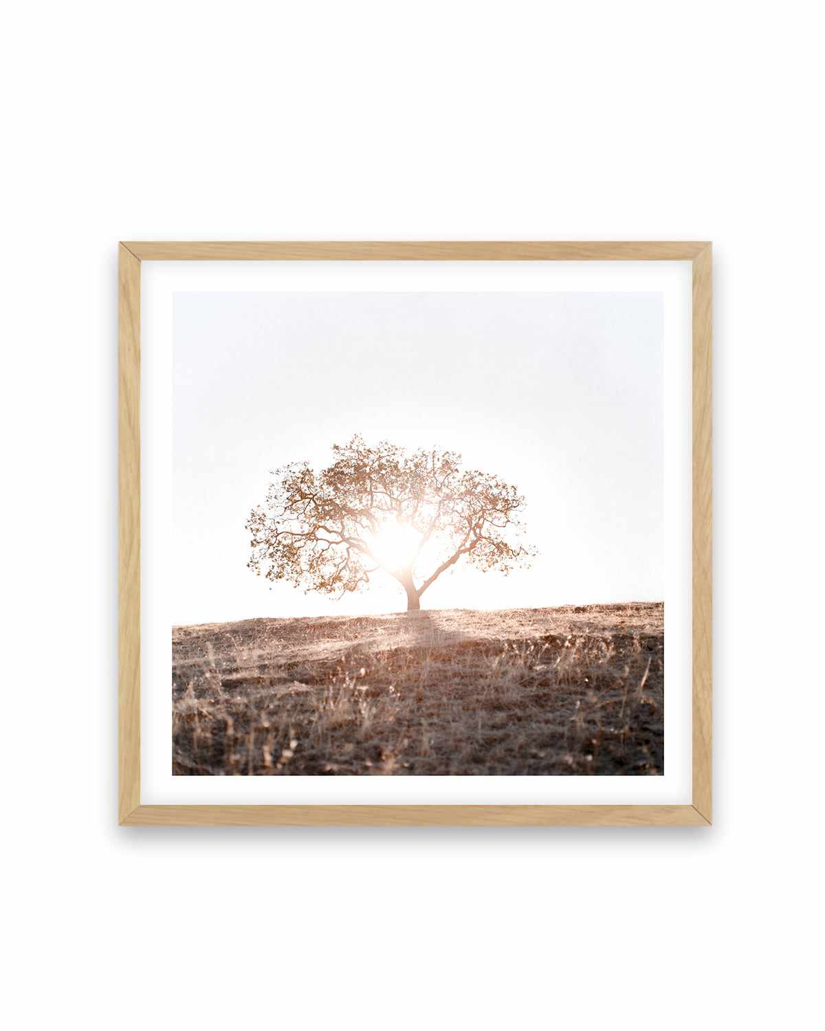 Lone Tree Hill SQ by Caleb Morris Art Print