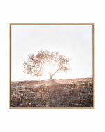 Lone Tree Hill SQ by Caleb Morris | Framed Canvas Art Print