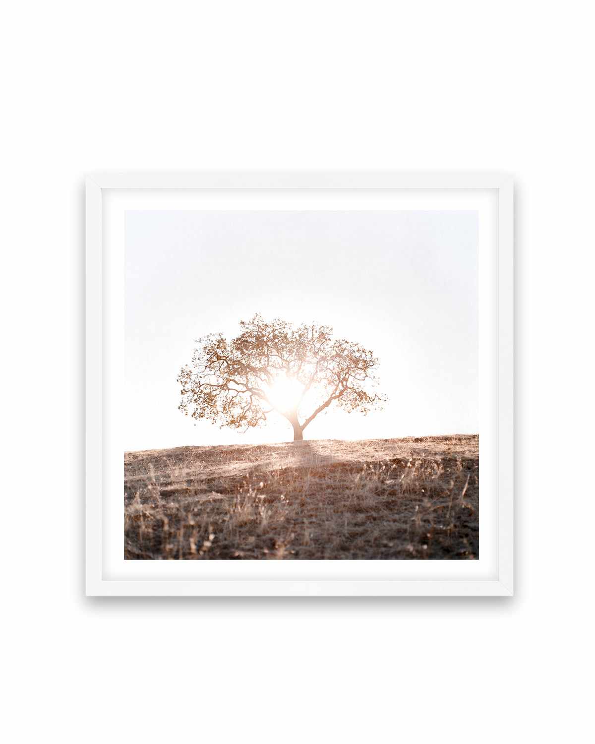 Lone Tree Hill SQ by Caleb Morris Art Print