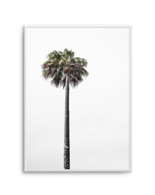 Lonesome Palm Art Print-PRINT-Olive et Oriel-Olive et Oriel-A5 | 5.8" x 8.3" | 14.8 x 21cm-Unframed Art Print-With White Border-Buy-Australian-Art-Prints-Online-with-Olive-et-Oriel-Your-Artwork-Specialists-Austrailia-Decorate-With-Coastal-Photo-Wall-Art-Prints-From-Our-Beach-House-Artwork-Collection-Fine-Poster-and-Framed-Artwork