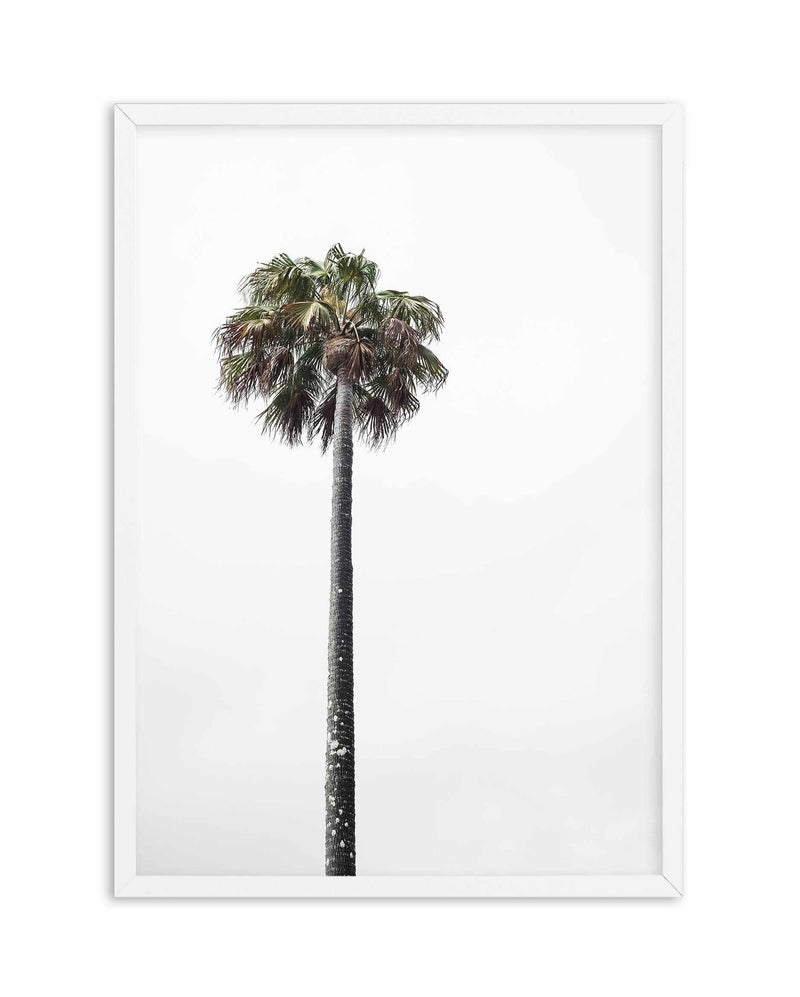 Lonesome Palm Art Print-PRINT-Olive et Oriel-Olive et Oriel-A5 | 5.8" x 8.3" | 14.8 x 21cm-White-With White Border-Buy-Australian-Art-Prints-Online-with-Olive-et-Oriel-Your-Artwork-Specialists-Austrailia-Decorate-With-Coastal-Photo-Wall-Art-Prints-From-Our-Beach-House-Artwork-Collection-Fine-Poster-and-Framed-Artwork