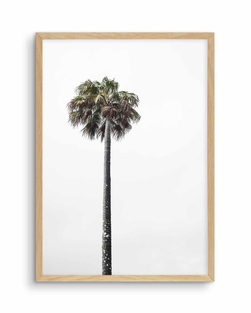 Lonesome Palm Art Print-PRINT-Olive et Oriel-Olive et Oriel-A5 | 5.8" x 8.3" | 14.8 x 21cm-Oak-With White Border-Buy-Australian-Art-Prints-Online-with-Olive-et-Oriel-Your-Artwork-Specialists-Austrailia-Decorate-With-Coastal-Photo-Wall-Art-Prints-From-Our-Beach-House-Artwork-Collection-Fine-Poster-and-Framed-Artwork