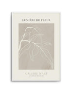 Lumiere De Fleur I Art Print-PRINT-Olive et Oriel-Olive et Oriel-A5 | 5.8" x 8.3" | 14.8 x 21cm-Unframed Art Print-With White Border-Buy-Australian-Art-Prints-Online-with-Olive-et-Oriel-Your-Artwork-Specialists-Austrailia-Decorate-With-Coastal-Photo-Wall-Art-Prints-From-Our-Beach-House-Artwork-Collection-Fine-Poster-and-Framed-Artwork