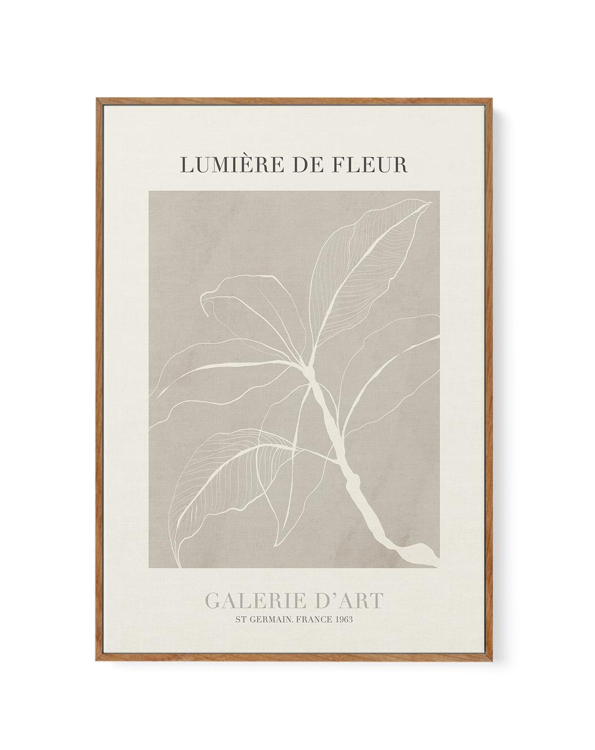 Lumiere De Fleur II | Framed Canvas-CANVAS-You can shop wall art online with Olive et Oriel for everything from abstract art to fun kids wall art. Our beautiful modern art prints and canvas art are available from large canvas prints to wall art paintings and our proudly Australian artwork collection offers only the highest quality framed large wall art and canvas art Australia - You can buy fashion photography prints or Hampton print posters and paintings on canvas from Olive et Oriel and have t