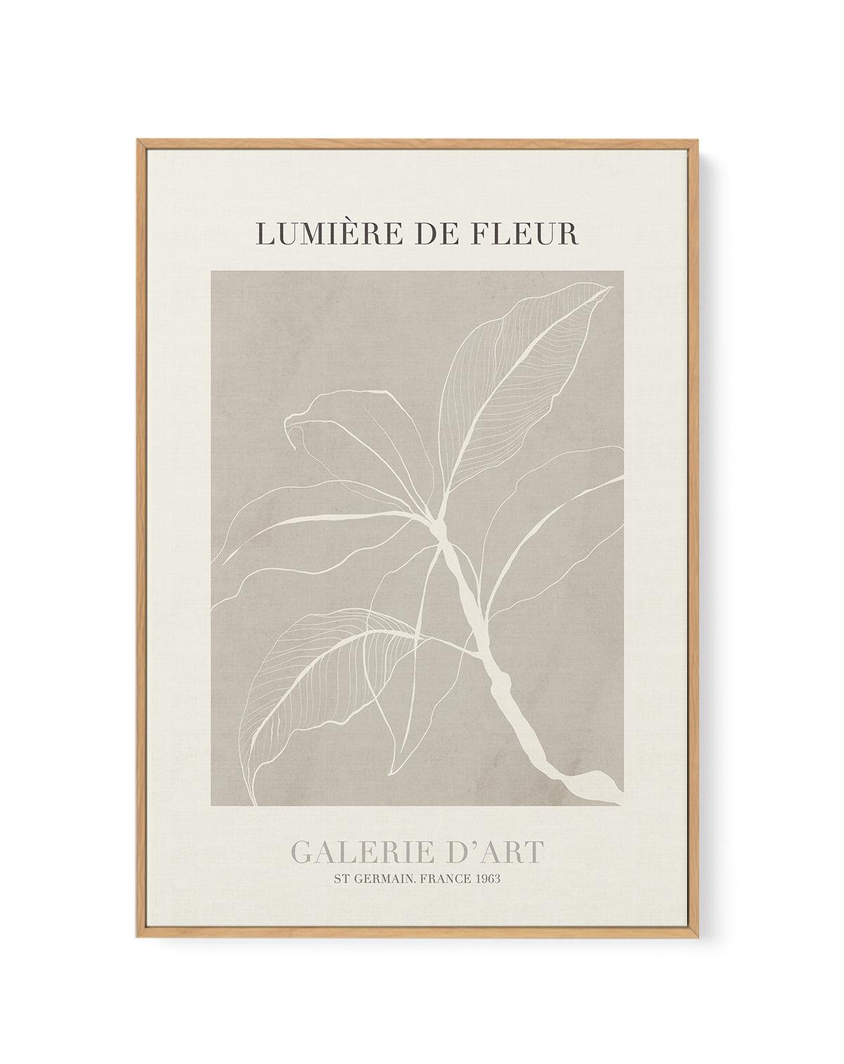 Lumiere De Fleur II | Framed Canvas-CANVAS-You can shop wall art online with Olive et Oriel for everything from abstract art to fun kids wall art. Our beautiful modern art prints and canvas art are available from large canvas prints to wall art paintings and our proudly Australian artwork collection offers only the highest quality framed large wall art and canvas art Australia - You can buy fashion photography prints or Hampton print posters and paintings on canvas from Olive et Oriel and have t