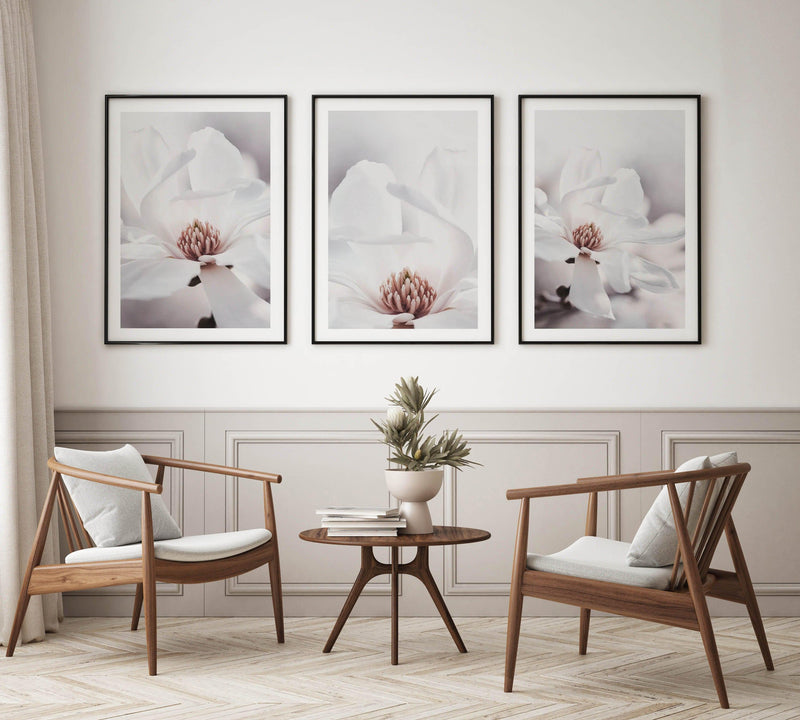 White Magnolia II Art Print-PRINT-Olive et Oriel-Olive et Oriel-Buy-Australian-Art-Prints-Online-with-Olive-et-Oriel-Your-Artwork-Specialists-Austrailia-Decorate-With-Coastal-Photo-Wall-Art-Prints-From-Our-Beach-House-Artwork-Collection-Fine-Poster-and-Framed-Artwork