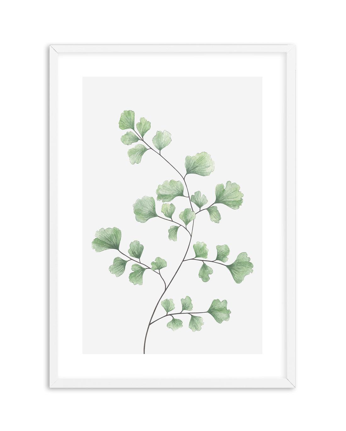 Maidenhair Fern I Art Print-PRINT-Olive et Oriel-Olive et Oriel-A4 | 8.3" x 11.7" | 21 x 29.7cm-White-With White Border-Buy-Australian-Art-Prints-Online-with-Olive-et-Oriel-Your-Artwork-Specialists-Austrailia-Decorate-With-Coastal-Photo-Wall-Art-Prints-From-Our-Beach-House-Artwork-Collection-Fine-Poster-and-Framed-Artwork