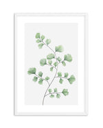 Maidenhair Fern I Art Print-PRINT-Olive et Oriel-Olive et Oriel-A4 | 8.3" x 11.7" | 21 x 29.7cm-White-With White Border-Buy-Australian-Art-Prints-Online-with-Olive-et-Oriel-Your-Artwork-Specialists-Austrailia-Decorate-With-Coastal-Photo-Wall-Art-Prints-From-Our-Beach-House-Artwork-Collection-Fine-Poster-and-Framed-Artwork
