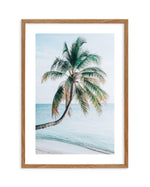 Maldivian Palm I Art Print-PRINT-Olive et Oriel-Olive et Oriel-50x70 cm | 19.6" x 27.5"-Walnut-With White Border-Buy-Australian-Art-Prints-Online-with-Olive-et-Oriel-Your-Artwork-Specialists-Austrailia-Decorate-With-Coastal-Photo-Wall-Art-Prints-From-Our-Beach-House-Artwork-Collection-Fine-Poster-and-Framed-Artwork