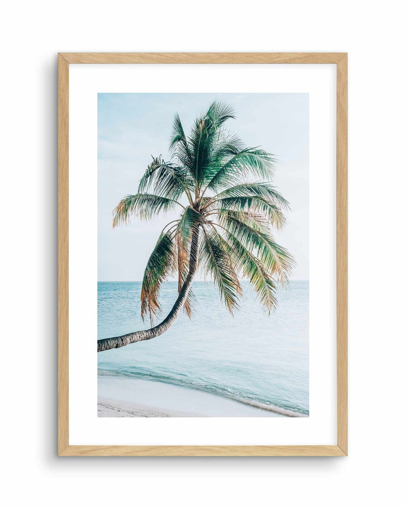 Maldivian Palm I Art Print-PRINT-Olive et Oriel-Olive et Oriel-A5 | 5.8" x 8.3" | 14.8 x 21cm-Oak-With White Border-Buy-Australian-Art-Prints-Online-with-Olive-et-Oriel-Your-Artwork-Specialists-Austrailia-Decorate-With-Coastal-Photo-Wall-Art-Prints-From-Our-Beach-House-Artwork-Collection-Fine-Poster-and-Framed-Artwork