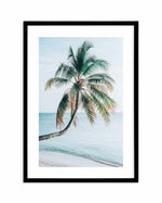 Maldivian Palm I Art Print-PRINT-Olive et Oriel-Olive et Oriel-A5 | 5.8" x 8.3" | 14.8 x 21cm-Black-With White Border-Buy-Australian-Art-Prints-Online-with-Olive-et-Oriel-Your-Artwork-Specialists-Austrailia-Decorate-With-Coastal-Photo-Wall-Art-Prints-From-Our-Beach-House-Artwork-Collection-Fine-Poster-and-Framed-Artwork