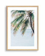 Maldivian Palm II Art Print-PRINT-Olive et Oriel-Olive et Oriel-A5 | 5.8" x 8.3" | 14.8 x 21cm-Oak-With White Border-Buy-Australian-Art-Prints-Online-with-Olive-et-Oriel-Your-Artwork-Specialists-Austrailia-Decorate-With-Coastal-Photo-Wall-Art-Prints-From-Our-Beach-House-Artwork-Collection-Fine-Poster-and-Framed-Artwork