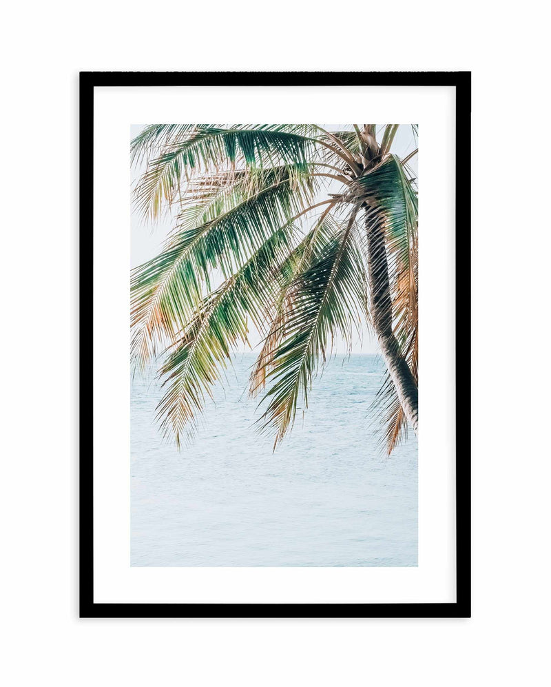 Maldivian Palm II Art Print-PRINT-Olive et Oriel-Olive et Oriel-A5 | 5.8" x 8.3" | 14.8 x 21cm-Black-With White Border-Buy-Australian-Art-Prints-Online-with-Olive-et-Oriel-Your-Artwork-Specialists-Austrailia-Decorate-With-Coastal-Photo-Wall-Art-Prints-From-Our-Beach-House-Artwork-Collection-Fine-Poster-and-Framed-Artwork