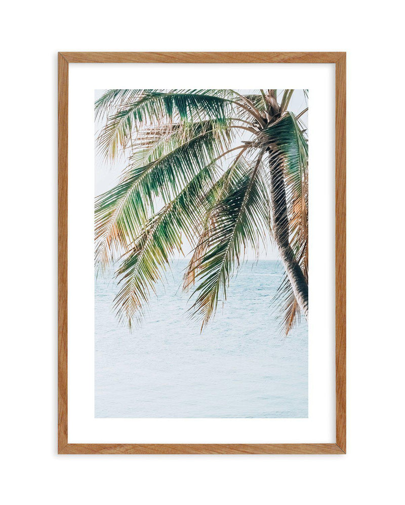 Maldivian Palm II Art Print-PRINT-Olive et Oriel-Olive et Oriel-50x70 cm | 19.6" x 27.5"-Walnut-With White Border-Buy-Australian-Art-Prints-Online-with-Olive-et-Oriel-Your-Artwork-Specialists-Austrailia-Decorate-With-Coastal-Photo-Wall-Art-Prints-From-Our-Beach-House-Artwork-Collection-Fine-Poster-and-Framed-Artwork