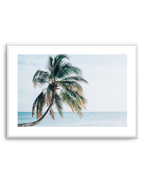 Maldivian Palm | LS Art Print-PRINT-Olive et Oriel-Olive et Oriel-A5 | 5.8" x 8.3" | 14.8 x 21cm-Unframed Art Print-With White Border-Buy-Australian-Art-Prints-Online-with-Olive-et-Oriel-Your-Artwork-Specialists-Austrailia-Decorate-With-Coastal-Photo-Wall-Art-Prints-From-Our-Beach-House-Artwork-Collection-Fine-Poster-and-Framed-Artwork