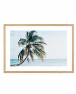 Maldivian Palm | LS Art Print-PRINT-Olive et Oriel-Olive et Oriel-A5 | 5.8" x 8.3" | 14.8 x 21cm-Oak-With White Border-Buy-Australian-Art-Prints-Online-with-Olive-et-Oriel-Your-Artwork-Specialists-Austrailia-Decorate-With-Coastal-Photo-Wall-Art-Prints-From-Our-Beach-House-Artwork-Collection-Fine-Poster-and-Framed-Artwork