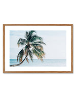Maldivian Palm | LS Art Print-PRINT-Olive et Oriel-Olive et Oriel-50x70 cm | 19.6" x 27.5"-Walnut-With White Border-Buy-Australian-Art-Prints-Online-with-Olive-et-Oriel-Your-Artwork-Specialists-Austrailia-Decorate-With-Coastal-Photo-Wall-Art-Prints-From-Our-Beach-House-Artwork-Collection-Fine-Poster-and-Framed-Artwork