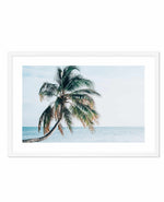 Maldivian Palm | LS Art Print-PRINT-Olive et Oriel-Olive et Oriel-A5 | 5.8" x 8.3" | 14.8 x 21cm-White-With White Border-Buy-Australian-Art-Prints-Online-with-Olive-et-Oriel-Your-Artwork-Specialists-Austrailia-Decorate-With-Coastal-Photo-Wall-Art-Prints-From-Our-Beach-House-Artwork-Collection-Fine-Poster-and-Framed-Artwork
