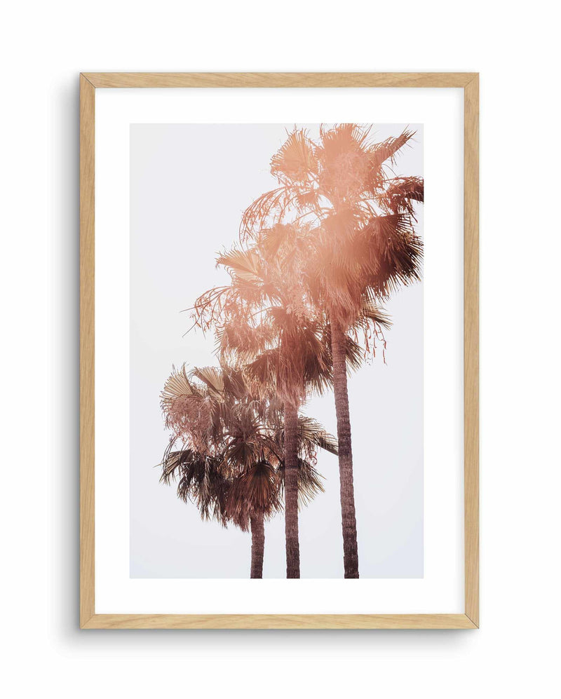 Malibu Palms | PT Art Print-PRINT-Olive et Oriel-Olive et Oriel-A4 | 8.3" x 11.7" | 21 x 29.7cm-Oak-With White Border-Buy-Australian-Art-Prints-Online-with-Olive-et-Oriel-Your-Artwork-Specialists-Austrailia-Decorate-With-Coastal-Photo-Wall-Art-Prints-From-Our-Beach-House-Artwork-Collection-Fine-Poster-and-Framed-Artwork