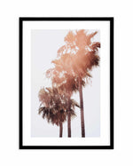 Malibu Palms | PT Art Print-PRINT-Olive et Oriel-Olive et Oriel-A4 | 8.3" x 11.7" | 21 x 29.7cm-Black-With White Border-Buy-Australian-Art-Prints-Online-with-Olive-et-Oriel-Your-Artwork-Specialists-Austrailia-Decorate-With-Coastal-Photo-Wall-Art-Prints-From-Our-Beach-House-Artwork-Collection-Fine-Poster-and-Framed-Artwork
