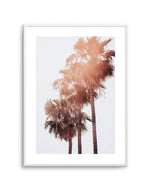 Malibu Palms | PT Art Print-PRINT-Olive et Oriel-Olive et Oriel-A4 | 8.3" x 11.7" | 21 x 29.7cm-Unframed Art Print-With White Border-Buy-Australian-Art-Prints-Online-with-Olive-et-Oriel-Your-Artwork-Specialists-Austrailia-Decorate-With-Coastal-Photo-Wall-Art-Prints-From-Our-Beach-House-Artwork-Collection-Fine-Poster-and-Framed-Artwork