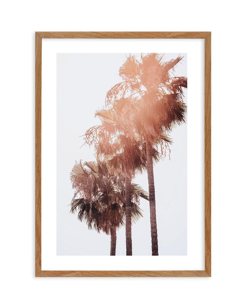 Malibu Palms | PT Art Print-PRINT-Olive et Oriel-Olive et Oriel-50x70 cm | 19.6" x 27.5"-Walnut-With White Border-Buy-Australian-Art-Prints-Online-with-Olive-et-Oriel-Your-Artwork-Specialists-Austrailia-Decorate-With-Coastal-Photo-Wall-Art-Prints-From-Our-Beach-House-Artwork-Collection-Fine-Poster-and-Framed-Artwork
