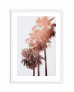 Malibu Palms | PT Art Print-PRINT-Olive et Oriel-Olive et Oriel-A4 | 8.3" x 11.7" | 21 x 29.7cm-White-With White Border-Buy-Australian-Art-Prints-Online-with-Olive-et-Oriel-Your-Artwork-Specialists-Austrailia-Decorate-With-Coastal-Photo-Wall-Art-Prints-From-Our-Beach-House-Artwork-Collection-Fine-Poster-and-Framed-Artwork