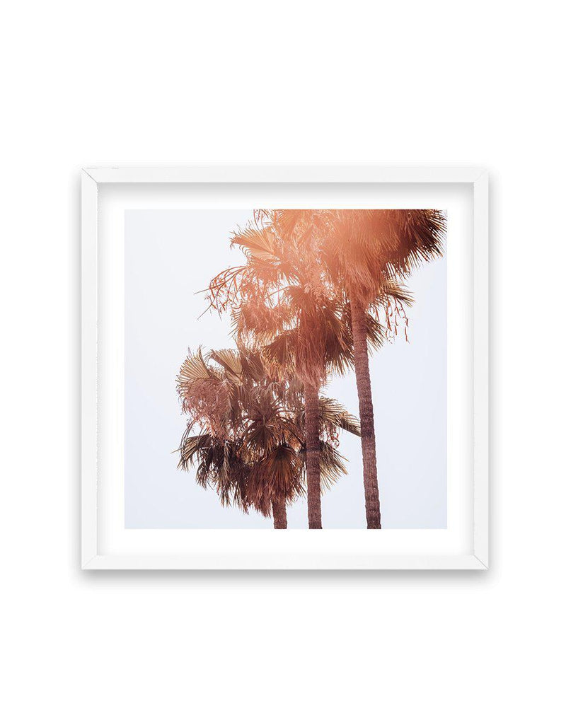 Malibu Palms SQ Art Print-PRINT-Olive et Oriel-Olive et Oriel-70x70 cm | 27.5" x 27.5"-White-With White Border-Buy-Australian-Art-Prints-Online-with-Olive-et-Oriel-Your-Artwork-Specialists-Austrailia-Decorate-With-Coastal-Photo-Wall-Art-Prints-From-Our-Beach-House-Artwork-Collection-Fine-Poster-and-Framed-Artwork