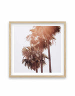 Malibu Palms SQ Art Print-PRINT-Olive et Oriel-Olive et Oriel-70x70 cm | 27.5" x 27.5"-Oak-With White Border-Buy-Australian-Art-Prints-Online-with-Olive-et-Oriel-Your-Artwork-Specialists-Austrailia-Decorate-With-Coastal-Photo-Wall-Art-Prints-From-Our-Beach-House-Artwork-Collection-Fine-Poster-and-Framed-Artwork