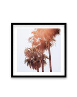 Malibu Palms SQ Art Print-PRINT-Olive et Oriel-Olive et Oriel-70x70 cm | 27.5" x 27.5"-Black-With White Border-Buy-Australian-Art-Prints-Online-with-Olive-et-Oriel-Your-Artwork-Specialists-Austrailia-Decorate-With-Coastal-Photo-Wall-Art-Prints-From-Our-Beach-House-Artwork-Collection-Fine-Poster-and-Framed-Artwork