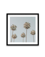 Melrose Ave Palms SQ Art Print-PRINT-Olive et Oriel-Olive et Oriel-70x70 cm | 27.5" x 27.5"-Black-With White Border-Buy-Australian-Art-Prints-Online-with-Olive-et-Oriel-Your-Artwork-Specialists-Austrailia-Decorate-With-Coastal-Photo-Wall-Art-Prints-From-Our-Beach-House-Artwork-Collection-Fine-Poster-and-Framed-Artwork