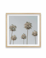 Melrose Ave Palms SQ Art Print-PRINT-Olive et Oriel-Olive et Oriel-70x70 cm | 27.5" x 27.5"-Oak-With White Border-Buy-Australian-Art-Prints-Online-with-Olive-et-Oriel-Your-Artwork-Specialists-Austrailia-Decorate-With-Coastal-Photo-Wall-Art-Prints-From-Our-Beach-House-Artwork-Collection-Fine-Poster-and-Framed-Artwork