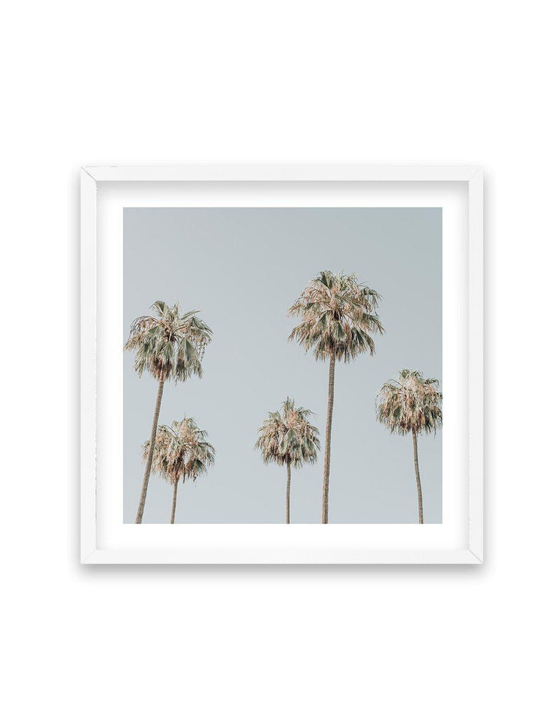 Melrose Ave Palms SQ Art Print-PRINT-Olive et Oriel-Olive et Oriel-70x70 cm | 27.5" x 27.5"-White-With White Border-Buy-Australian-Art-Prints-Online-with-Olive-et-Oriel-Your-Artwork-Specialists-Austrailia-Decorate-With-Coastal-Photo-Wall-Art-Prints-From-Our-Beach-House-Artwork-Collection-Fine-Poster-and-Framed-Artwork