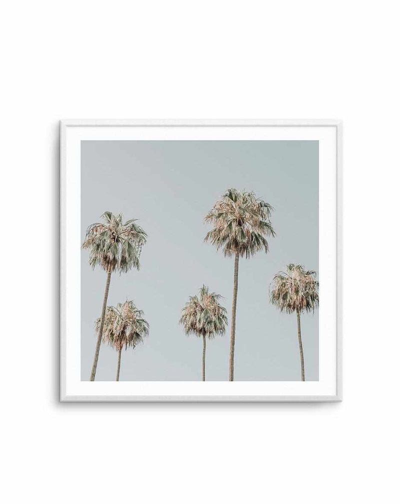 Melrose Ave Palms SQ Art Print-PRINT-Olive et Oriel-Olive et Oriel-Buy-Australian-Art-Prints-Online-with-Olive-et-Oriel-Your-Artwork-Specialists-Austrailia-Decorate-With-Coastal-Photo-Wall-Art-Prints-From-Our-Beach-House-Artwork-Collection-Fine-Poster-and-Framed-Artwork