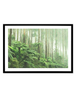 Misty Forest, Healesville Victoria Art Print-PRINT-Olive et Oriel-Olive et Oriel-A5 | 5.8" x 8.3" | 14.8 x 21cm-Black-With White Border-Buy-Australian-Art-Prints-Online-with-Olive-et-Oriel-Your-Artwork-Specialists-Austrailia-Decorate-With-Coastal-Photo-Wall-Art-Prints-From-Our-Beach-House-Artwork-Collection-Fine-Poster-and-Framed-Artwork