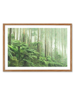 Misty Forest, Healesville Victoria Art Print-PRINT-Olive et Oriel-Olive et Oriel-Buy-Australian-Art-Prints-Online-with-Olive-et-Oriel-Your-Artwork-Specialists-Austrailia-Decorate-With-Coastal-Photo-Wall-Art-Prints-From-Our-Beach-House-Artwork-Collection-Fine-Poster-and-Framed-Artwork