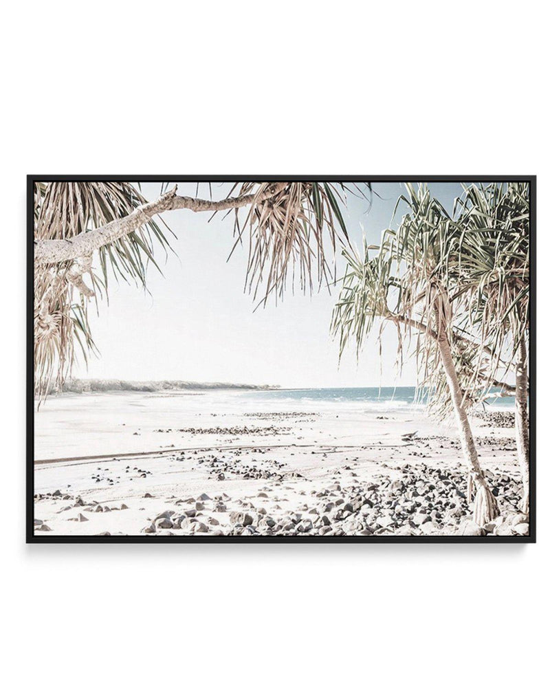 Mon Repos Beach, Bundaberg | Framed Canvas-CANVAS-You can shop wall art online with Olive et Oriel for everything from abstract art to fun kids wall art. Our beautiful modern art prints and canvas art are available from large canvas prints to wall art paintings and our proudly Australian artwork collection offers only the highest quality framed large wall art and canvas art Australia - You can buy fashion photography prints or Hampton print posters and paintings on canvas from Olive et Oriel and