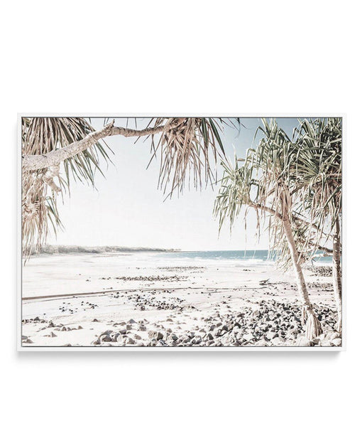 Mon Repos Beach, Bundaberg | Framed Canvas-CANVAS-You can shop wall art online with Olive et Oriel for everything from abstract art to fun kids wall art. Our beautiful modern art prints and canvas art are available from large canvas prints to wall art paintings and our proudly Australian artwork collection offers only the highest quality framed large wall art and canvas art Australia - You can buy fashion photography prints or Hampton print posters and paintings on canvas from Olive et Oriel and
