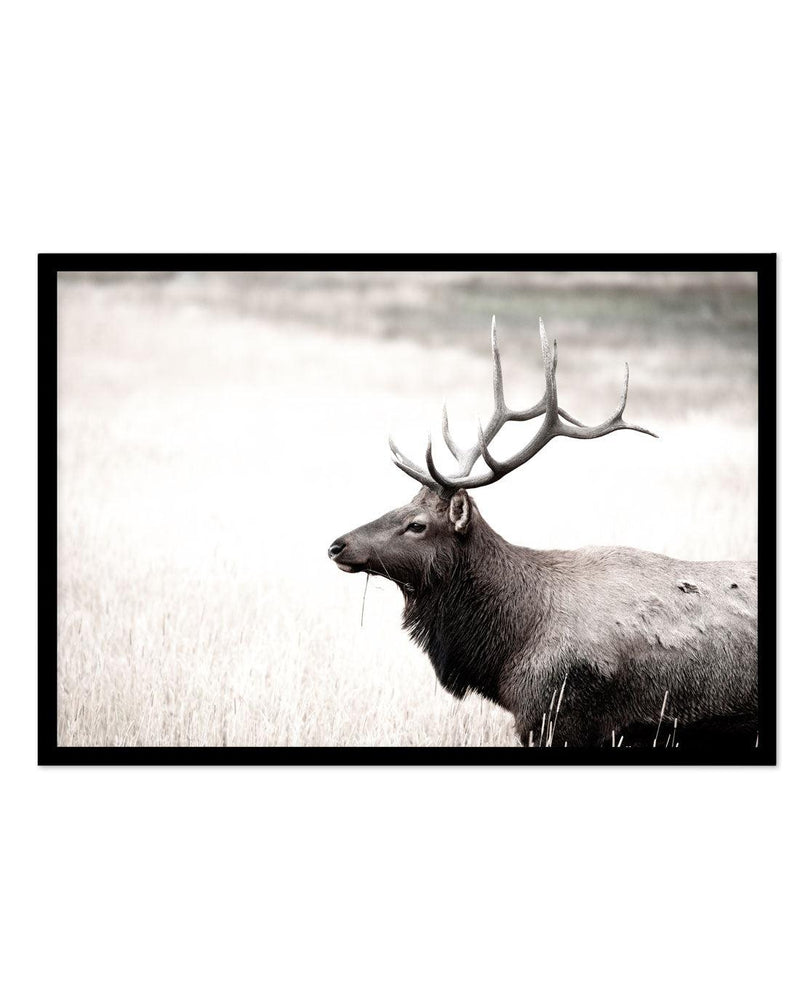 Mountain Stag | LS Art Print-PRINT-Olive et Oriel-Olive et Oriel-A5 | 5.8" x 8.3" | 14.8 x 21cm-Black-With White Border-Buy-Australian-Art-Prints-Online-with-Olive-et-Oriel-Your-Artwork-Specialists-Austrailia-Decorate-With-Coastal-Photo-Wall-Art-Prints-From-Our-Beach-House-Artwork-Collection-Fine-Poster-and-Framed-Artwork