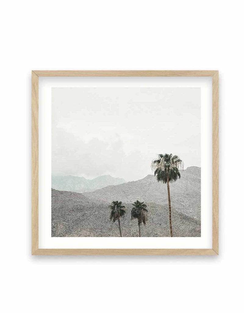 Mountains Of Palm Springs | SQ Art Print-PRINT-Olive et Oriel-Olive et Oriel-70x70 cm | 27.5" x 27.5"-Oak-With White Border-Buy-Australian-Art-Prints-Online-with-Olive-et-Oriel-Your-Artwork-Specialists-Austrailia-Decorate-With-Coastal-Photo-Wall-Art-Prints-From-Our-Beach-House-Artwork-Collection-Fine-Poster-and-Framed-Artwork