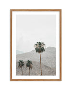 Mountains of Palm Springs | PT Art Print-PRINT-Olive et Oriel-Olive et Oriel-50x70 cm | 19.6" x 27.5"-Walnut-With White Border-Buy-Australian-Art-Prints-Online-with-Olive-et-Oriel-Your-Artwork-Specialists-Austrailia-Decorate-With-Coastal-Photo-Wall-Art-Prints-From-Our-Beach-House-Artwork-Collection-Fine-Poster-and-Framed-Artwork