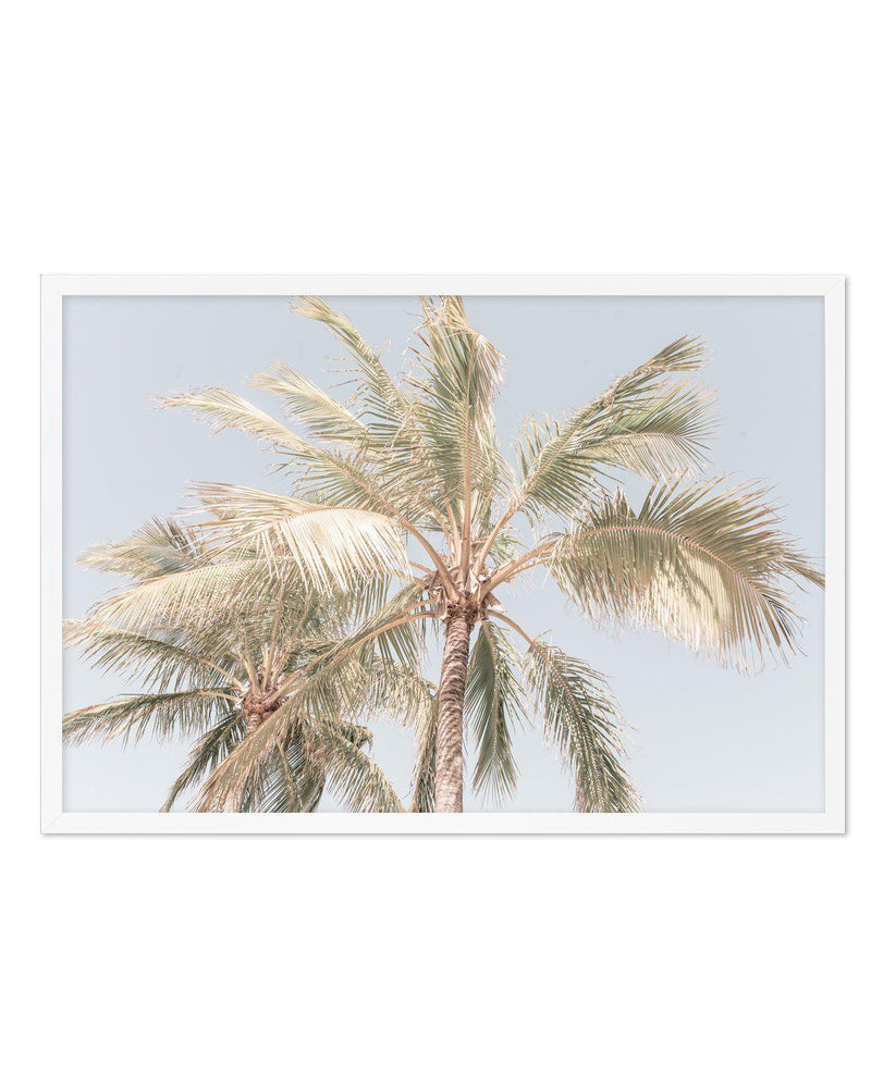 Noosa Palms I | LS Art Print-PRINT-Olive et Oriel-Olive et Oriel-A4 | 8.3" x 11.7" | 21 x 29.7cm-White-With White Border-Buy-Australian-Art-Prints-Online-with-Olive-et-Oriel-Your-Artwork-Specialists-Austrailia-Decorate-With-Coastal-Photo-Wall-Art-Prints-From-Our-Beach-House-Artwork-Collection-Fine-Poster-and-Framed-Artwork